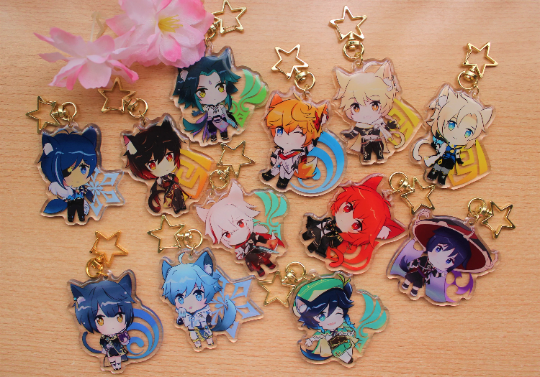 Genshin Impact Neko Charms